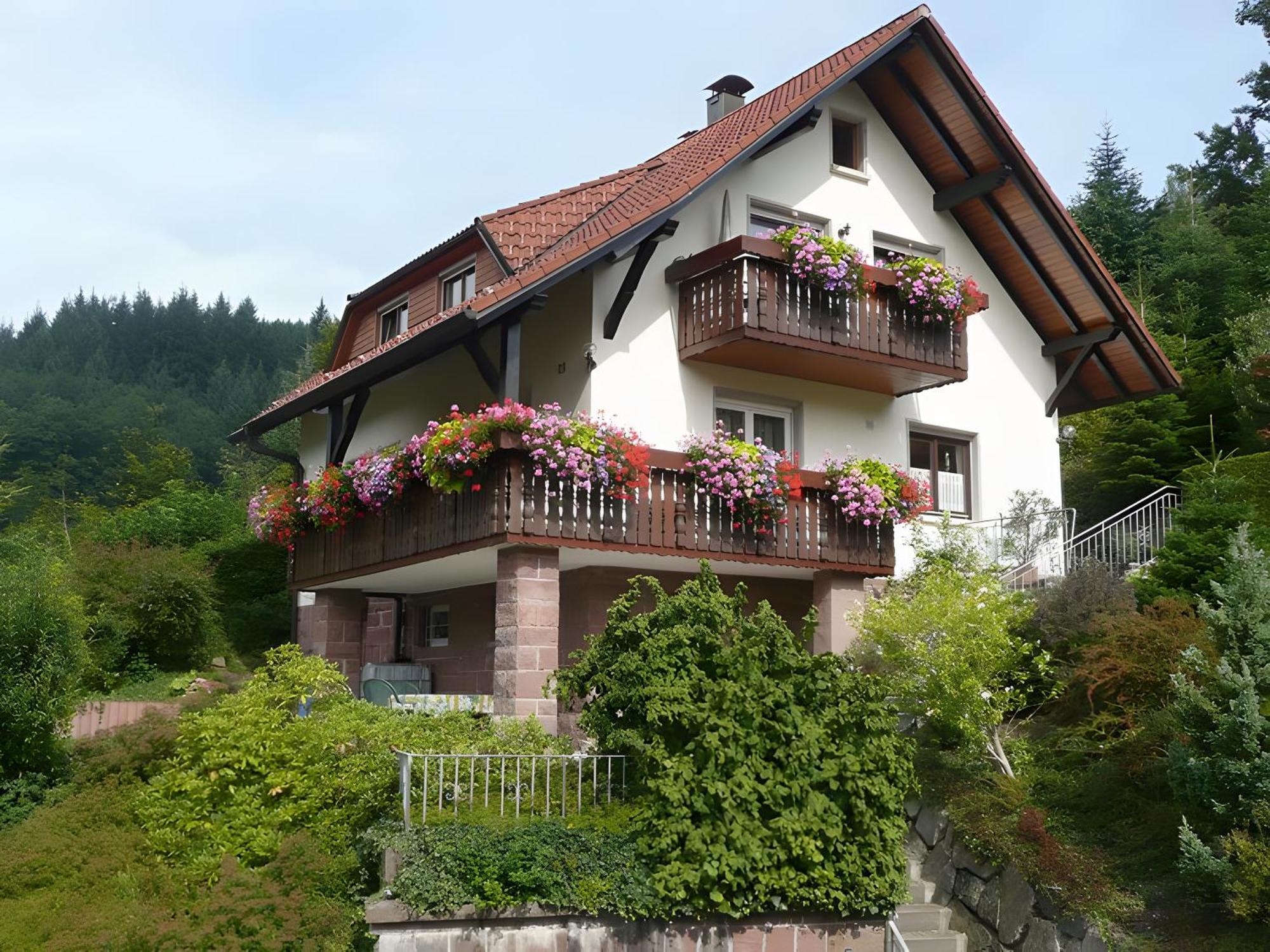 Haus Herbert Panter Bad Peterstal-Griesbach Exterior foto