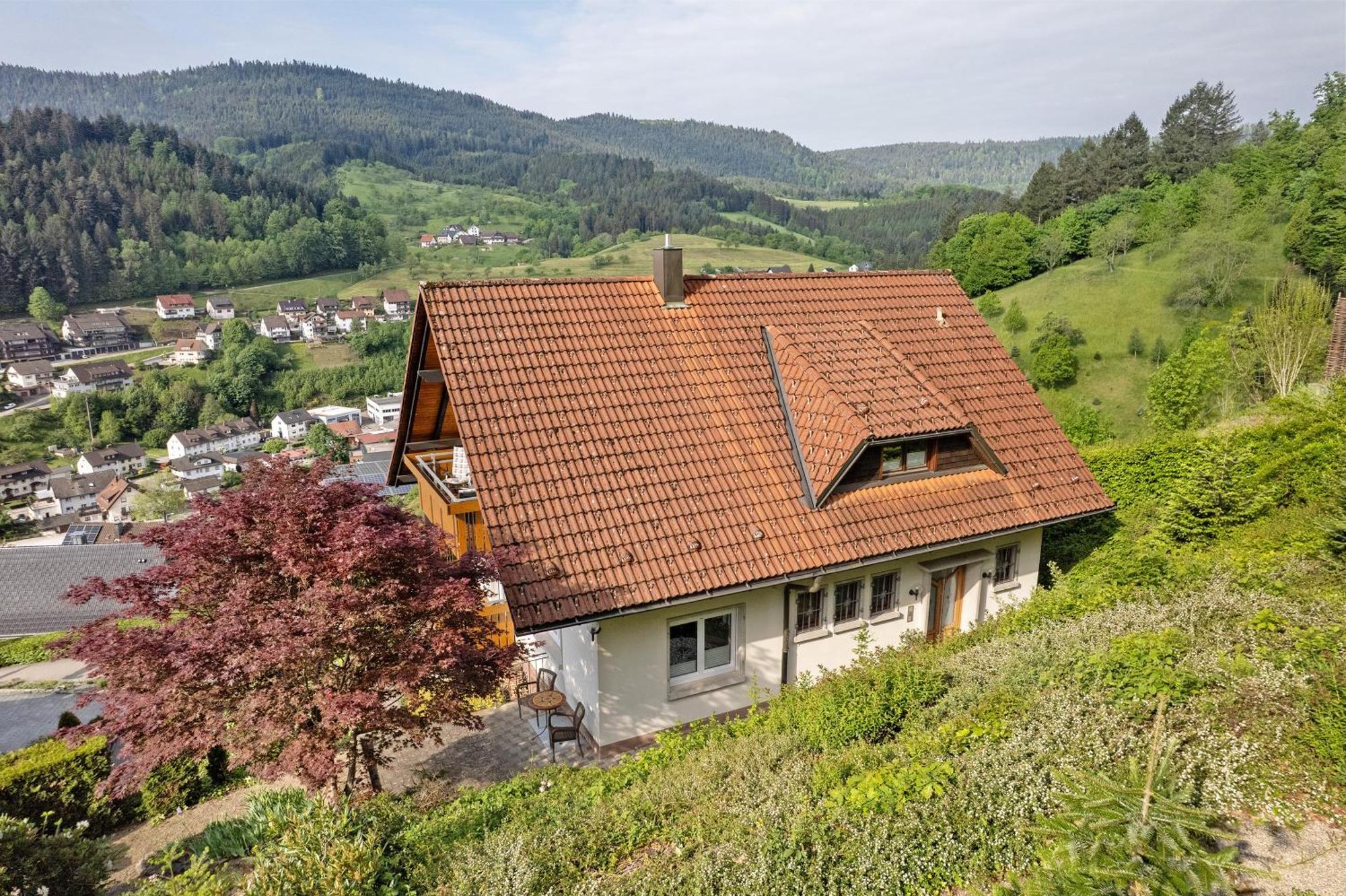 Haus Herbert Panter Bad Peterstal-Griesbach Exterior foto